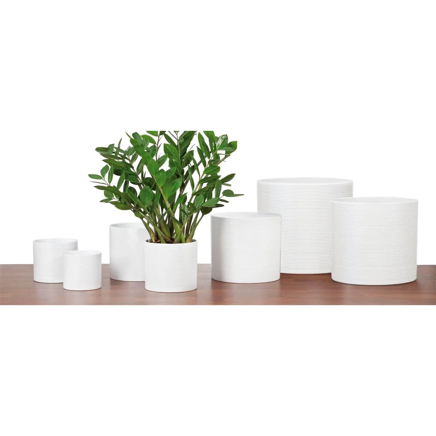 White Plant Pot - 14cm 1 White Plant Pot - 14cm