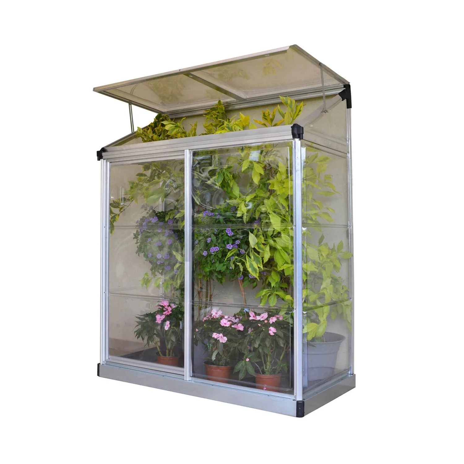 Palram - Canopia Lean To Grow House 4X2 Silver Clear 1 Palram - Canopia Lean To Grow House 4X2 Silver Clear