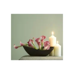 Craig & Rose 1829 Eggshell Paint Esterhazy - 2.5L -Best Home Furnishing Store 12817695 1664832956391424