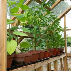 Forest 8 X 6ft Vale Greenhouse - Installation Included -Best Home Furnishing Store 12823847 1804833220458030