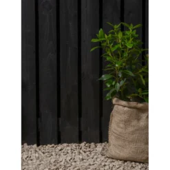 Ronseal Fence Life Plus Paint Tudor Black Oak - 5L 9 Ronseal Fence Life Plus Paint Tudor Black Oak - 5L -Best Home Furnishing Store 12833707 3314944410694045
