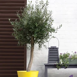 Sandtex® Exterior 10 Year Gloss Paint Chestnut Brown - 750ml -Best Home Furnishing Store 12838516 6864872087922731