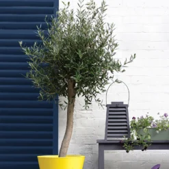 Sandtex® Exterior 10 Year Gloss Paint Oxford Blue - 750ml 12 Sandtex® Exterior 10 Year Gloss Paint Oxford Blue - 750ml -Best Home Furnishing Store 12839227 1814872088258659