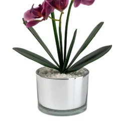 Orchid With Silver Glass Pot - Purple -Best Home Furnishing Store 12879285 1054864281948609