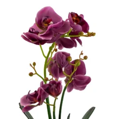 Orchid With Silver Glass Pot - Purple -Best Home Furnishing Store 12879285 2084864281975504