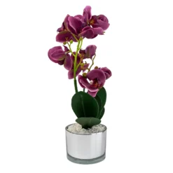 Orchid With Silver Glass Pot - Purple -Best Home Furnishing Store 12879285 4804864281923592