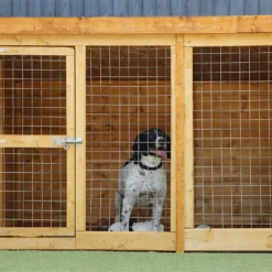 Mercia 10 X 4 Dog Kennel & Run 13 Mercia 10 X 4 Dog Kennel & Run -Best Home Furnishing Store 12883214 1614849535037567