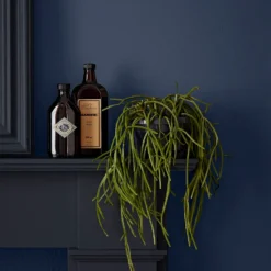 Crown Easyclean Bathroom Paint Midnight Navy - 40ml -Best Home Furnishing Store 12886554 1294853989547064