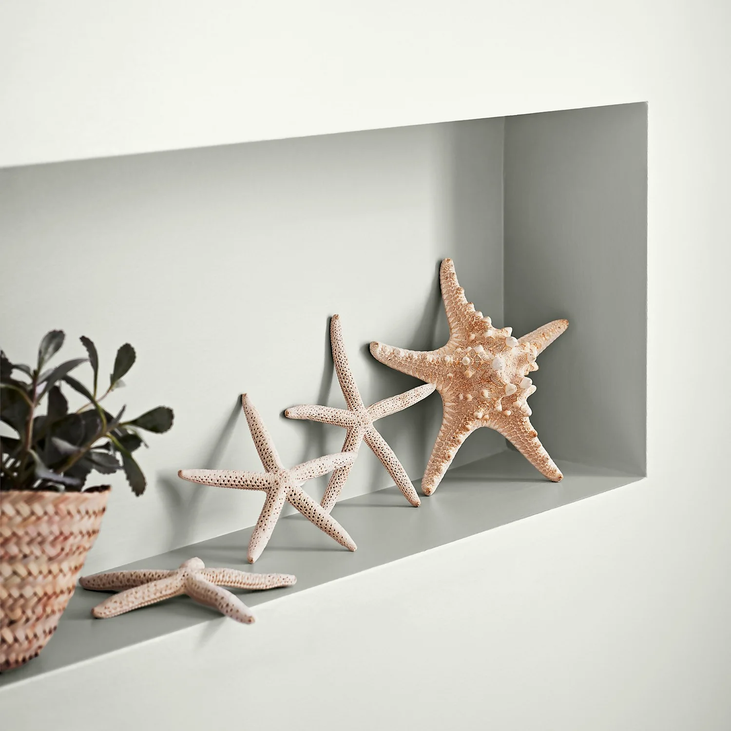 Crown Easyclean® Mouldguard+ Bathroom Mid Sheen Washable Multi Surface Paint Milk White® - 2.5L 3 Crown Easyclean® Mouldguard+ Bathroom Mid Sheen Washable Multi Surface Paint Milk White® - 2.5L - Image 3