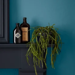 Crown Easyclean® Mouldguard+ Bathroom Mid Sheen Washable Multi Surface Paint Teal® - 2.5L -Best Home Furnishing Store 12886785 1744853415906324