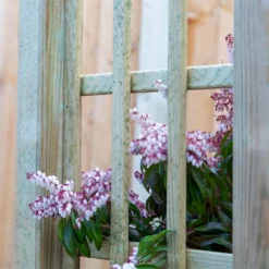 Mercia Curved Arch -Best Home Furnishing Store 12888302 6134849860614286