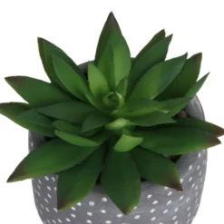 Small Succulent - Grey -Best Home Furnishing Store 12909500 1734869235660464