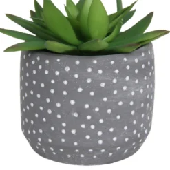 Small Succulent - Grey -Best Home Furnishing Store 12909500 2024869235581411