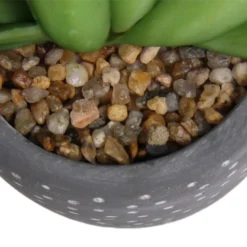 Small Succulent - Grey -Best Home Furnishing Store 12909500 5574869235621944