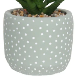 Small Succulent - Green -Best Home Furnishing Store 12909501 1514869235621446