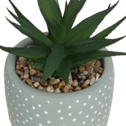 Small Succulent - Green -Best Home Furnishing Store 12909501 2094869235594320
