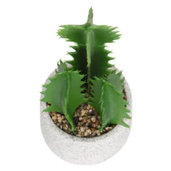 Cactus In Textured Pot -Best Home Furnishing Store 12909506 2804869235539384
