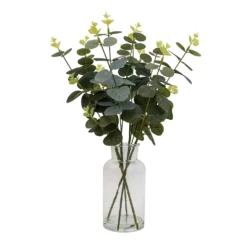 Eucalyptus In Glass Vase