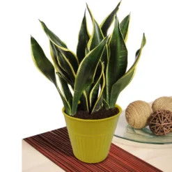 Ribbed Planter (3 Colour Mix) - 12cm -Best Home Furnishing Store 13193954 2864933504188960
