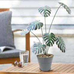 Ribbed Planter (3 Colour Mix) - 12cm -Best Home Furnishing Store 13193954 4474933504214550