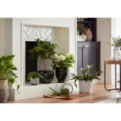 Perla White Plant Pot - 15cm -Best Home Furnishing Store 13432913 1474948242881271