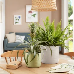 Scheurich Ripple White Indoor Pot - 20cm 5 Scheurich Ripple White Indoor Pot - 20cm -Best Home Furnishing Store 13953260 1154987120198644