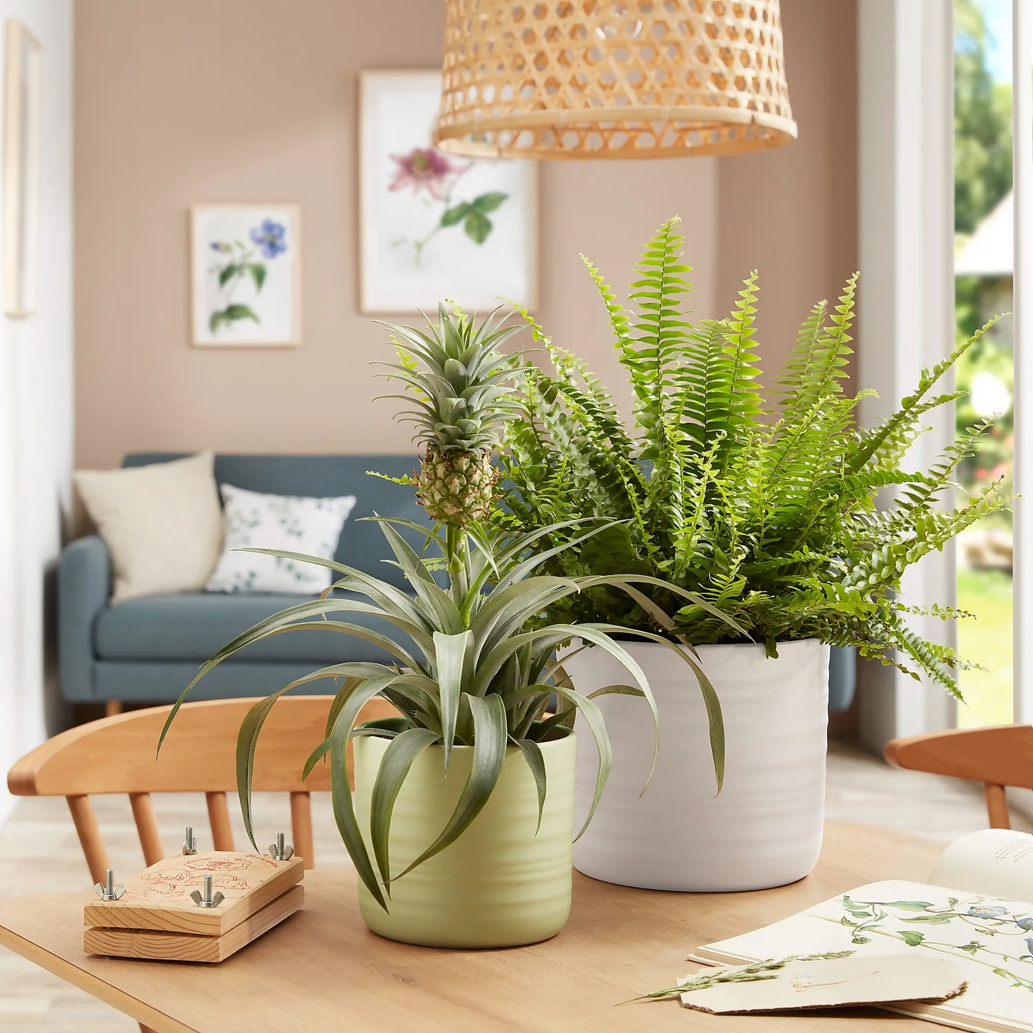 Scheurich Ripple White Indoor Pot - 20cm 3 Scheurich Ripple White Indoor Pot - 20cm - Image 3