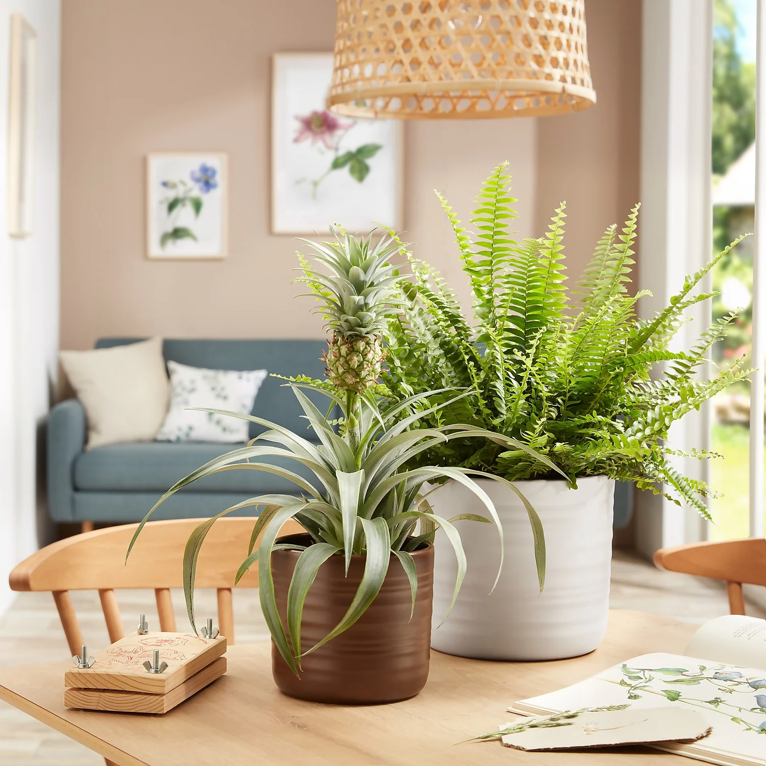 Scheurich Ripple White Indoor Pot - 20cm 2 Scheurich Ripple White Indoor Pot - 20cm - Image 2