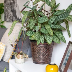 Vintage Allium Patterned Cone Pot - 37cm -Best Home Furnishing Store 13973621 6475011239983391