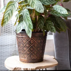 Vintage Allium Patterned Cone Pot - 37cm -Best Home Furnishing Store 13973621 8485011239919857