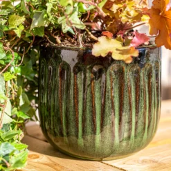 Chiswick Running Pot Green - 38cm -Best Home Furnishing Store 13973643 2115011238524470