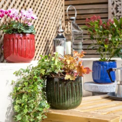 Chiswick Running Pot Green - 30cm 9 Chiswick Running Pot Green - 30cm -Best Home Furnishing Store 13973644 3415011242646731