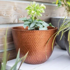 Suva Hammered Pot Copper - 31cm -Best Home Furnishing Store 13973652 1715011805989134